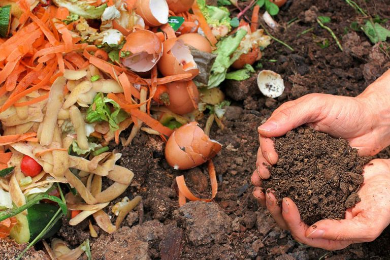 compost-2